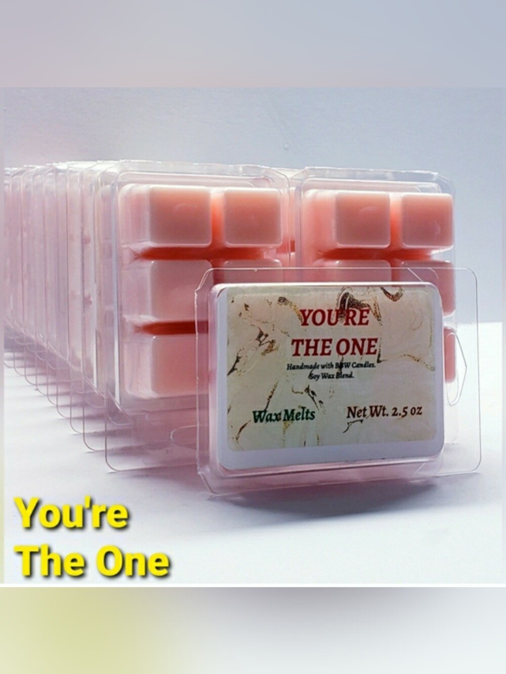 YOU'RE THE ONE -Bath & Body Works Candle Wax Melts- $8 per pack